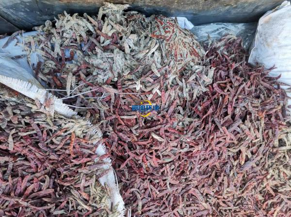 案例|某公司海關產品銷毀